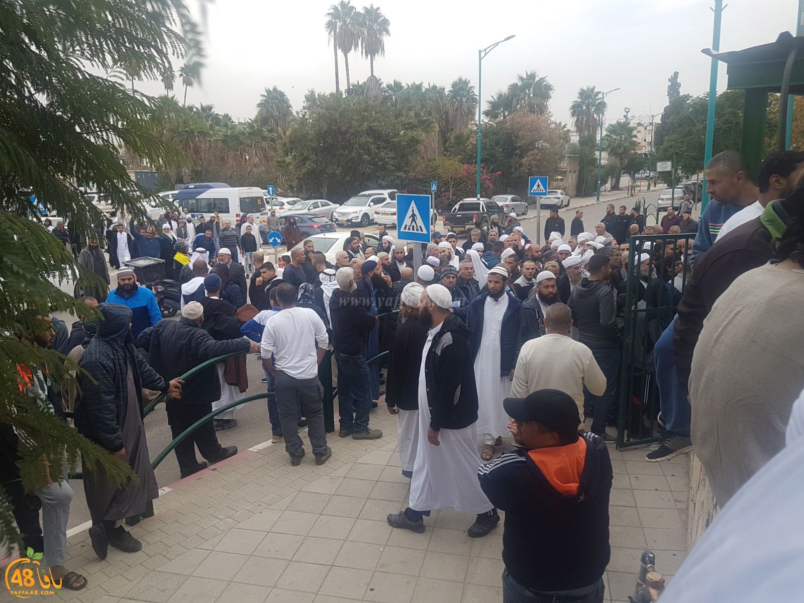 tasheeye3 om mhmoud (18).jpg